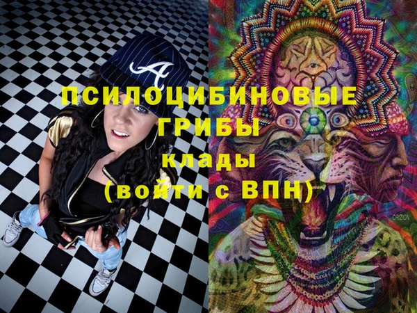ПСИЛОЦИБИНОВЫЕ ГРИБЫ Алексин