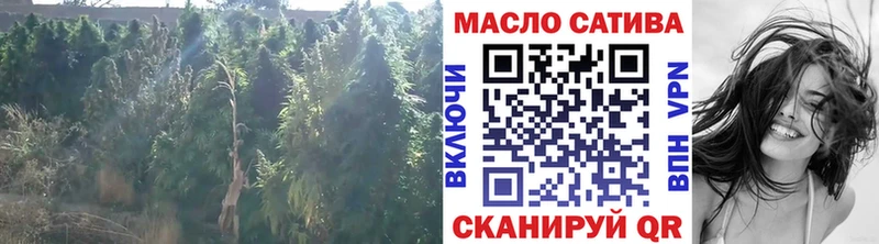 Дистиллят ТГК концентрат  купить   Николаевск 